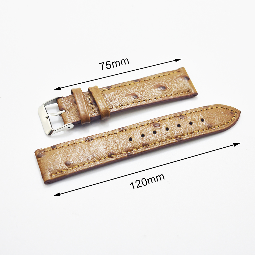 手作りダチョウ柄革時計バンド 18 ミリメートル 20 ミリ - Curved Spring Bar のレビューと価格